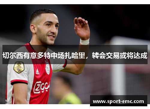 切尔西有意多特中场扎哈里，转会交易或将达成