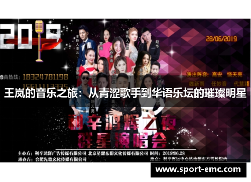 王岚的音乐之旅：从青涩歌手到华语乐坛的璀璨明星